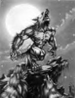 Lobo_Loco Logo